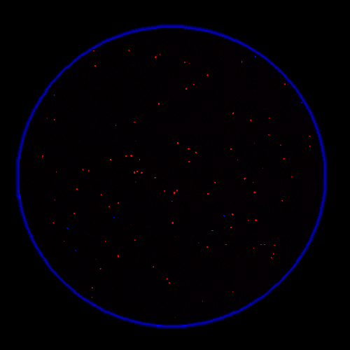 Donor-1-dead-cells